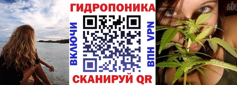 Магазины продажи наркотиков Балахна Каннабис  Кокаин  А ПВП  АМФЕТАМИН  ГАШИШ 